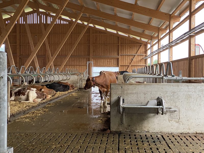 Zusammengespannt für einen neuen, automatisierten Stall mit Biogas fürs Netz