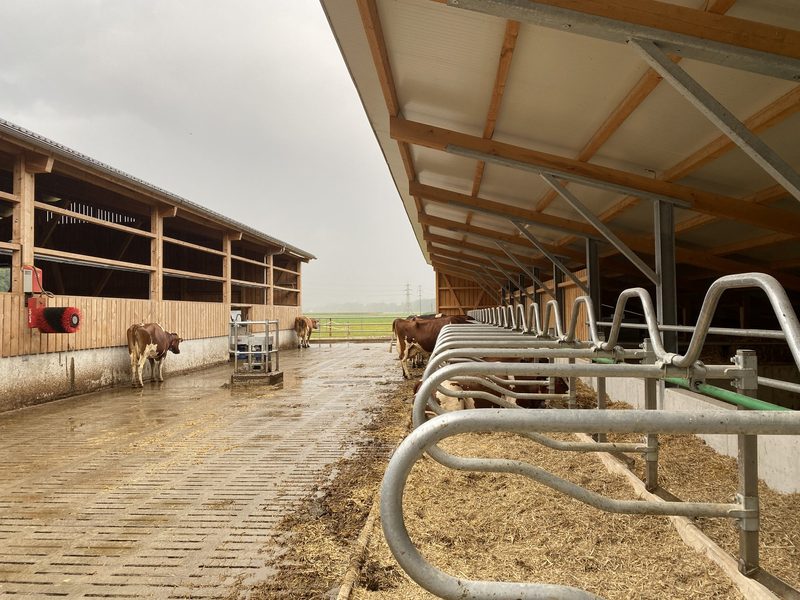 Zusammengespannt für einen neuen, automatisierten Stall mit Biogas fürs Netz