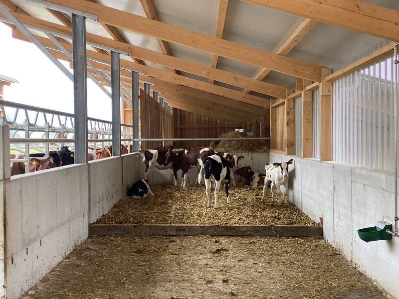 Zusammengespannt für einen neuen, automatisierten Stall mit Biogas fürs Netz