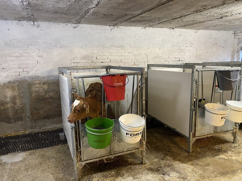 Zusammengespannt für einen neuen, automatisierten Stall mit Biogas fürs Netz