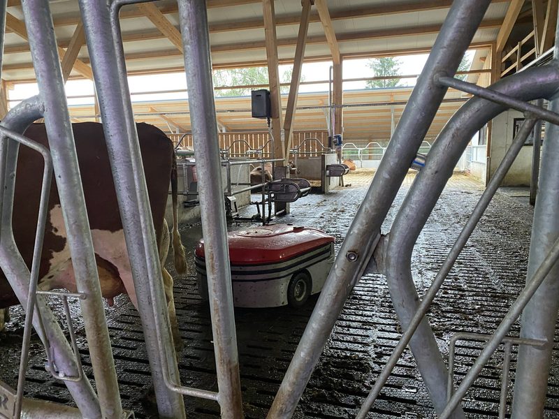 Zusammengespannt für einen neuen, automatisierten Stall mit Biogas fürs Netz