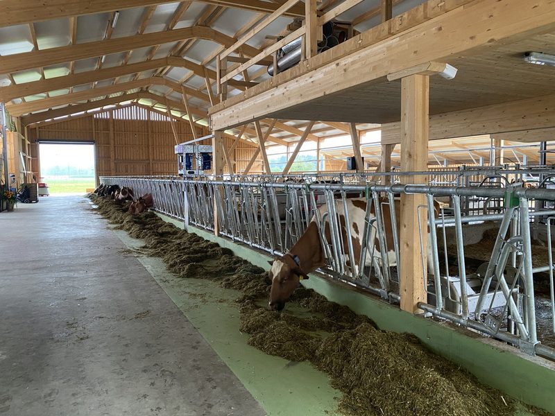 Zusammengespannt für einen neuen, automatisierten Stall mit Biogas fürs Netz