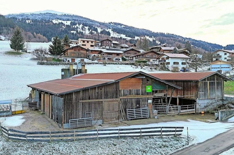 Arno Lietha möchte den Biohof seiner Eltern in Fideris in absehbarer Zeit übernehmen.