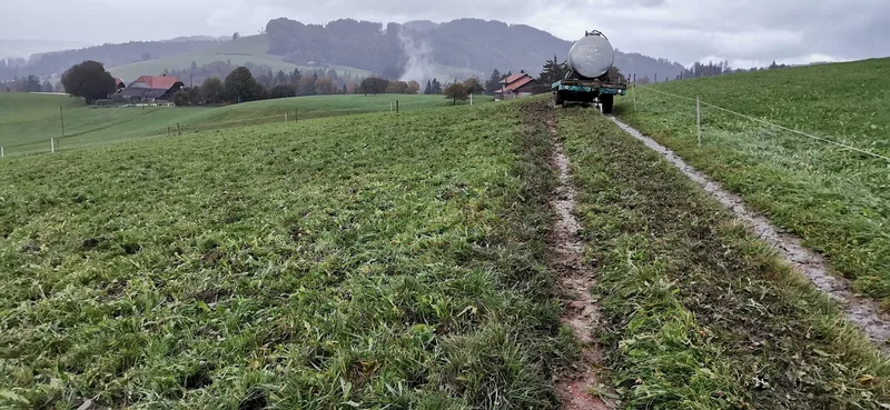 Weiterhin kräftiges Graswachstum in Aussicht