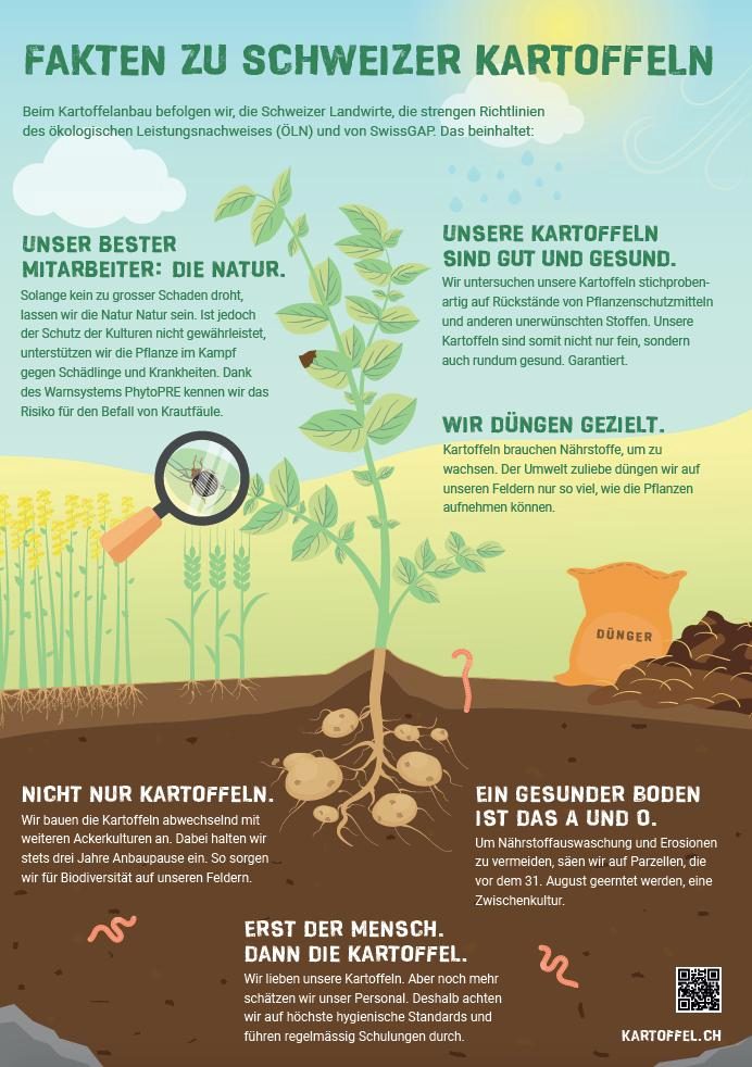 Den Konsumenten die Kartoffel erklären