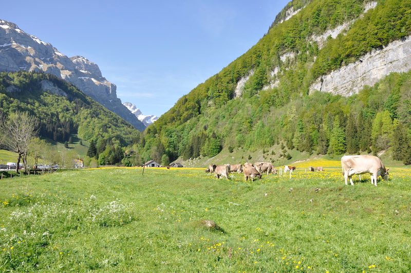 Schlafen im Stroh im Appenzell: Das Einfache und Traditionelle ist sehr gefragt