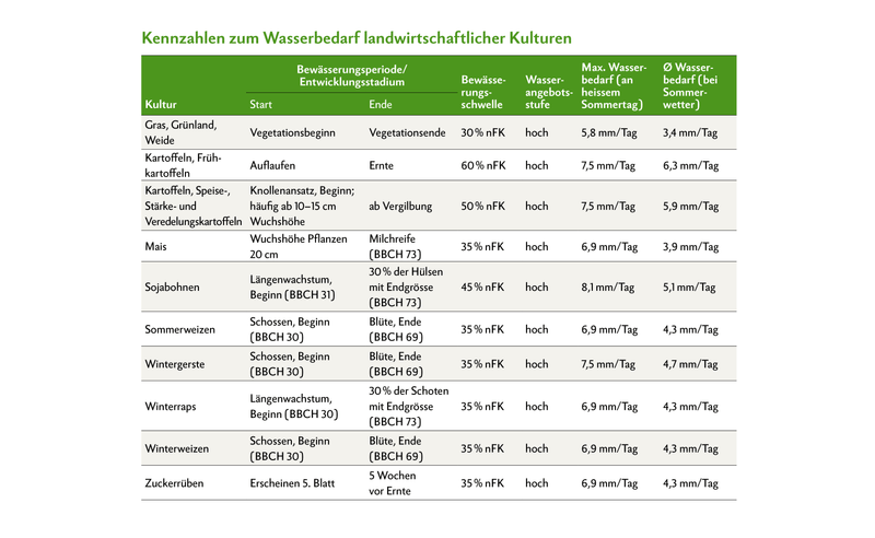 Bewässerung in der Landwirtschaft: Wann Pflanzen wirklich Wasser brauchen