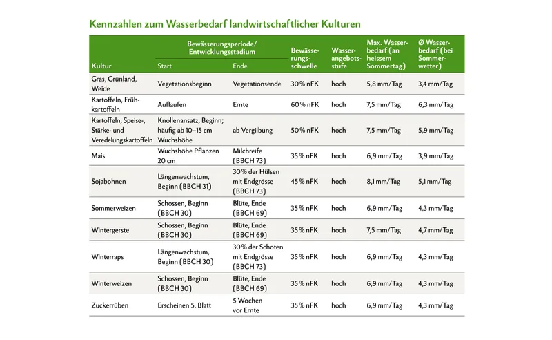 Bewässerung in der Landwirtschaft: Wann Pflanzen wirklich Wasser brauchen